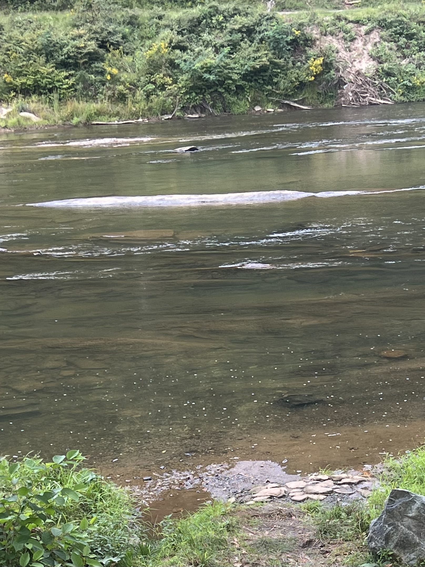 River condition photo