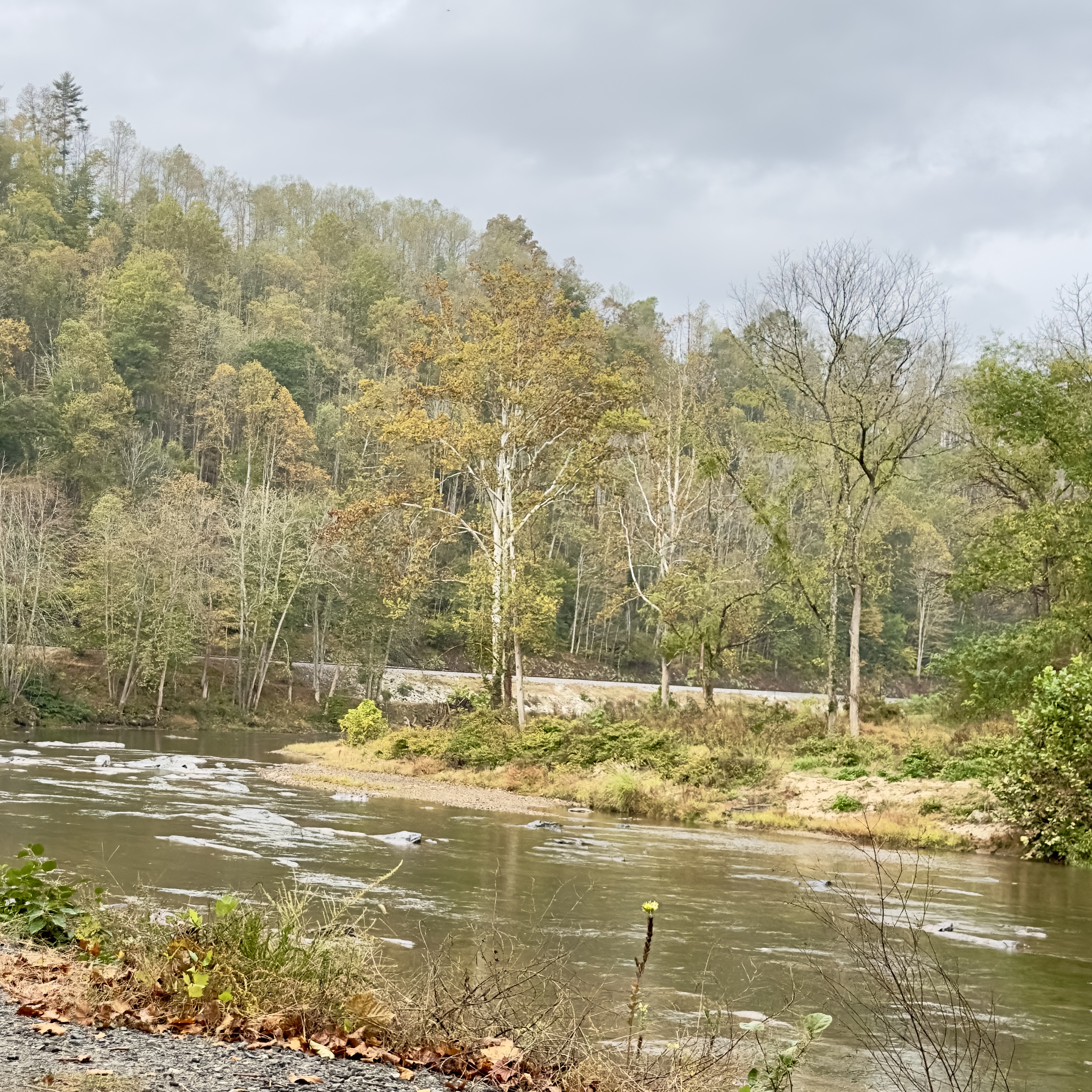River condition photo